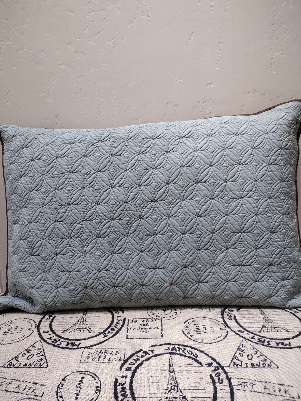 Restoration Hardware Silk Pillow Shams (2)
